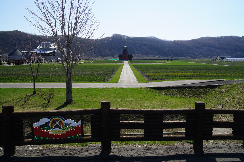 チューリップ公園