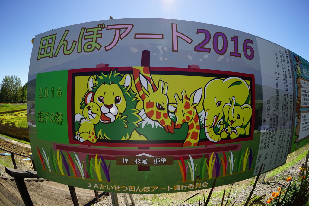 田んぼアートⅡ