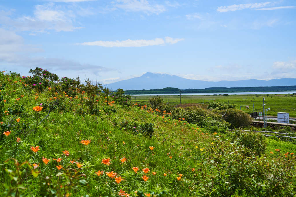 小清水原生花園　②