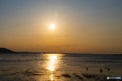 サロマ湖の夕陽　4月　②