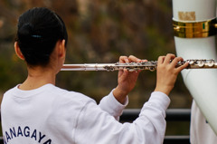 flute