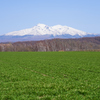 小麦畑～斜里岳