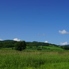 勤務先からの風景