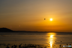 サロマ湖の夕陽　4月　③