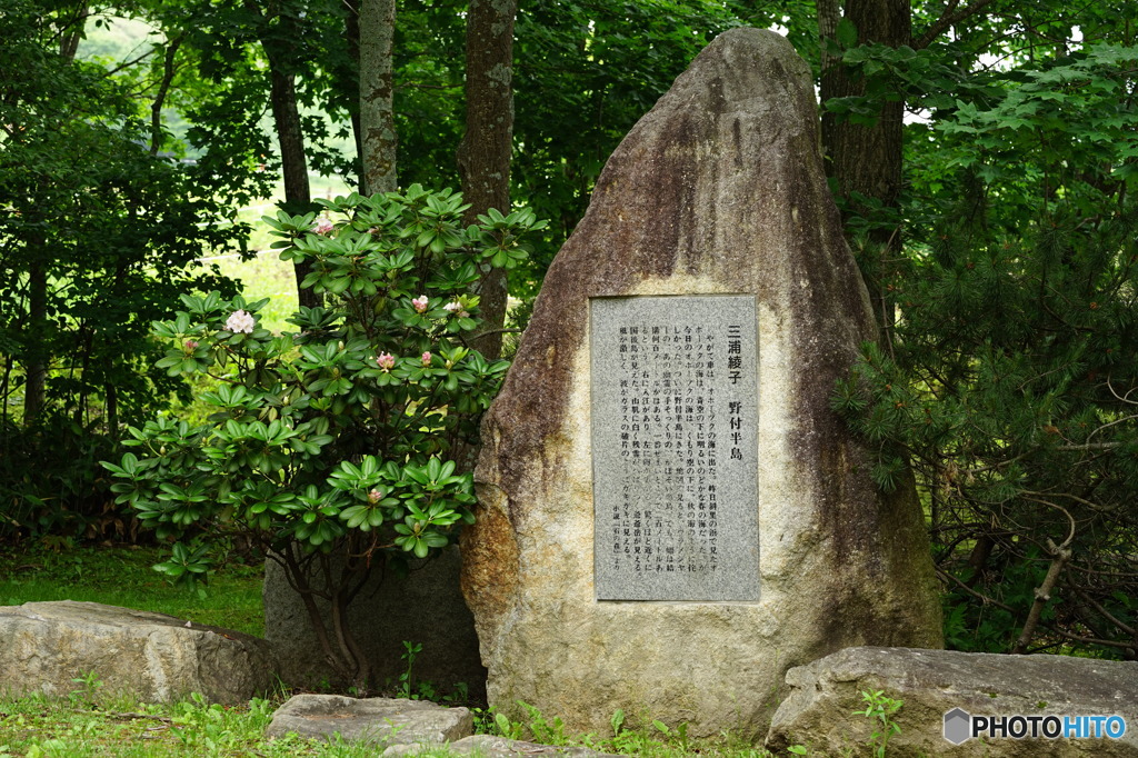 我が町の公園