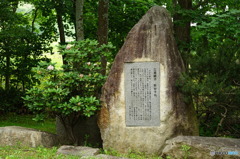 我が町の公園