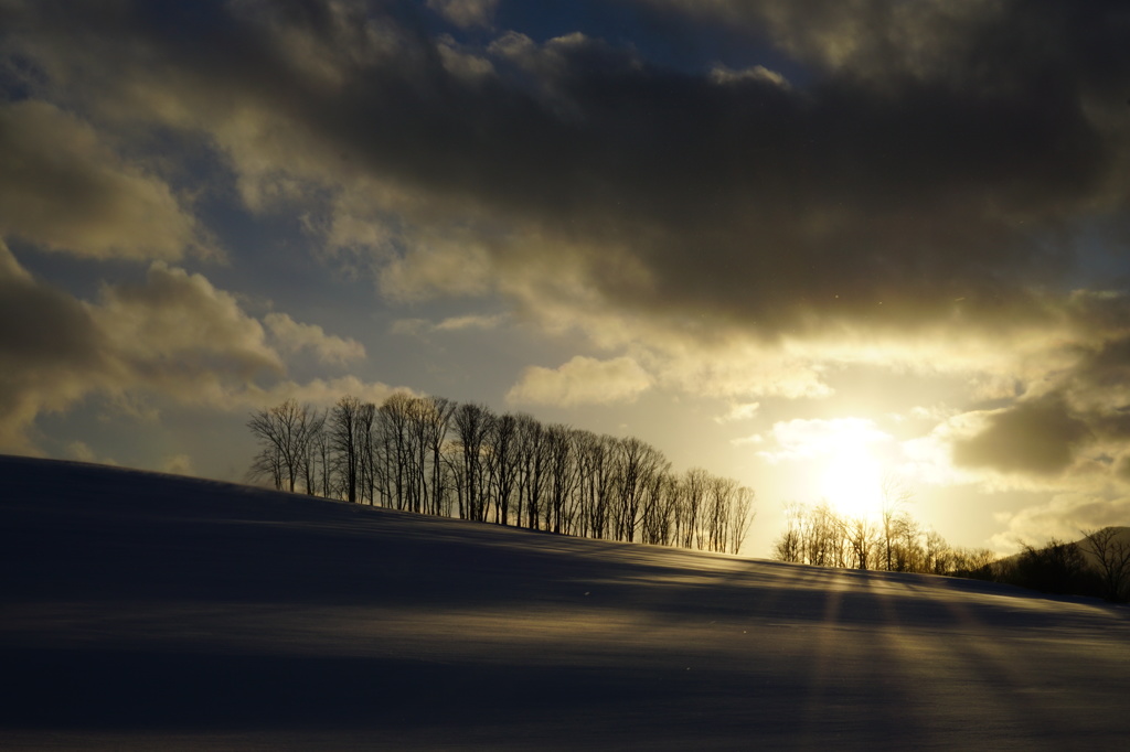 粉雪舞う雪原の夕景