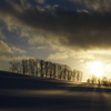 粉雪舞う雪原の夕景