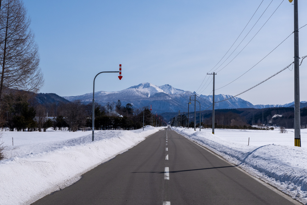 ニセイカシュッぺ山