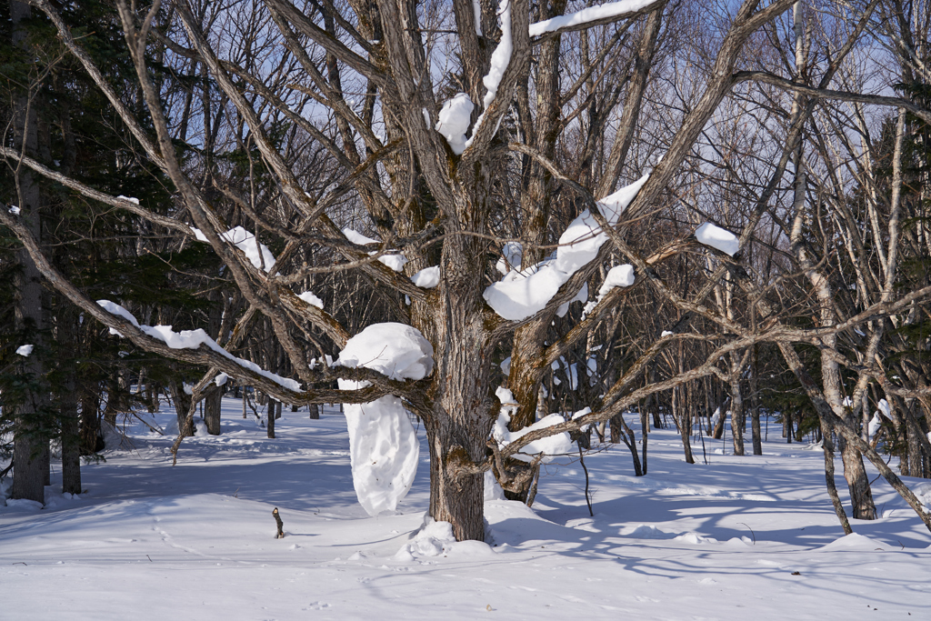 這い上がる雪塊＿３