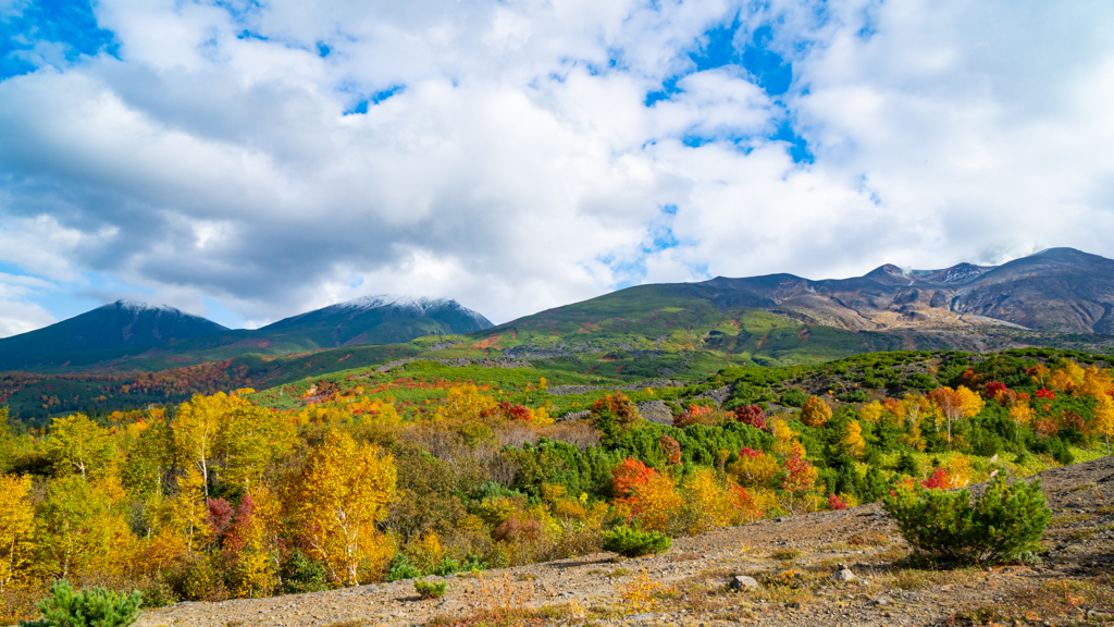 十勝岳紅葉