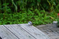 それは・・・。