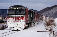 今朝の玉ねぎ列車Ⅰ