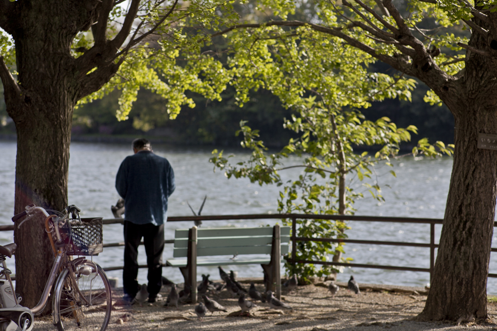 鳩とおじいちゃん