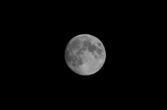 fourteen-moon