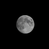 fourteen-moon