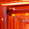 朱