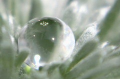 new born