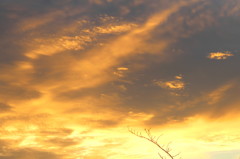 morning glow