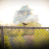 _DSC0119