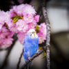 _DSC0084
