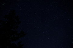 DSC_1713