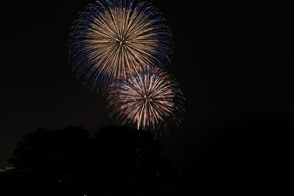 DSC_1266