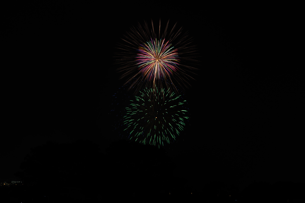 DSC_1153