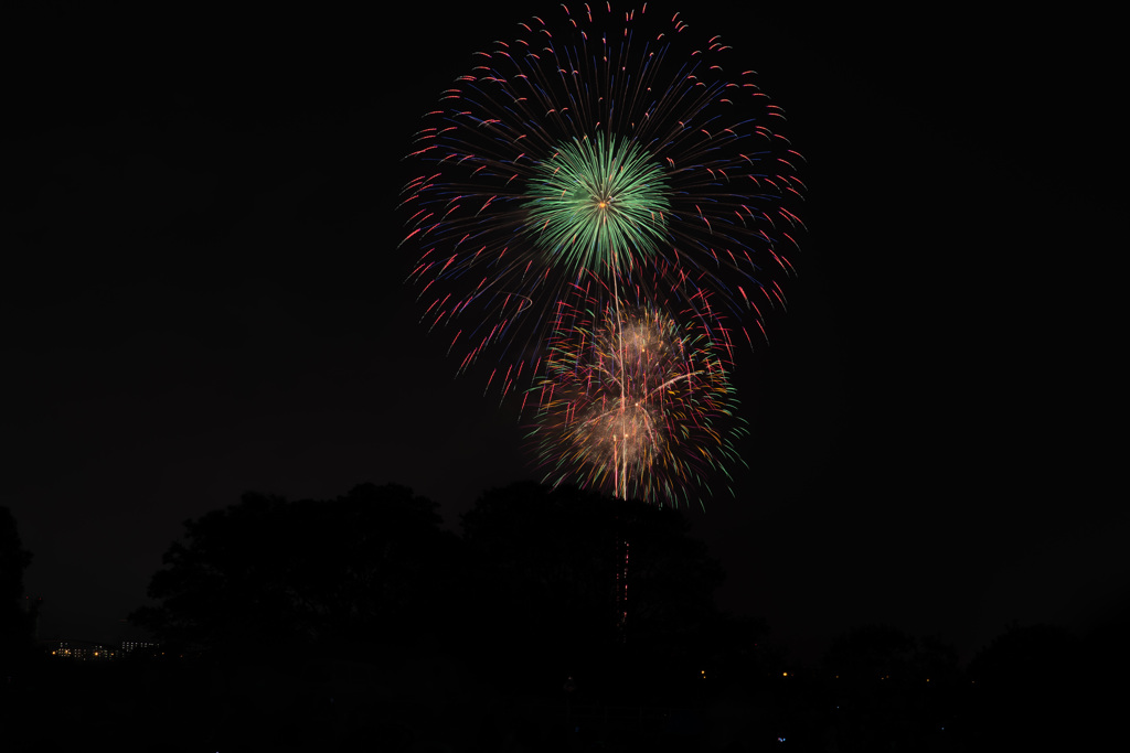 DSC_1242