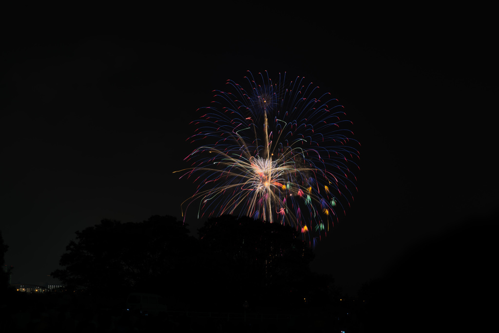DSC_1232