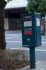 DSC_1006
