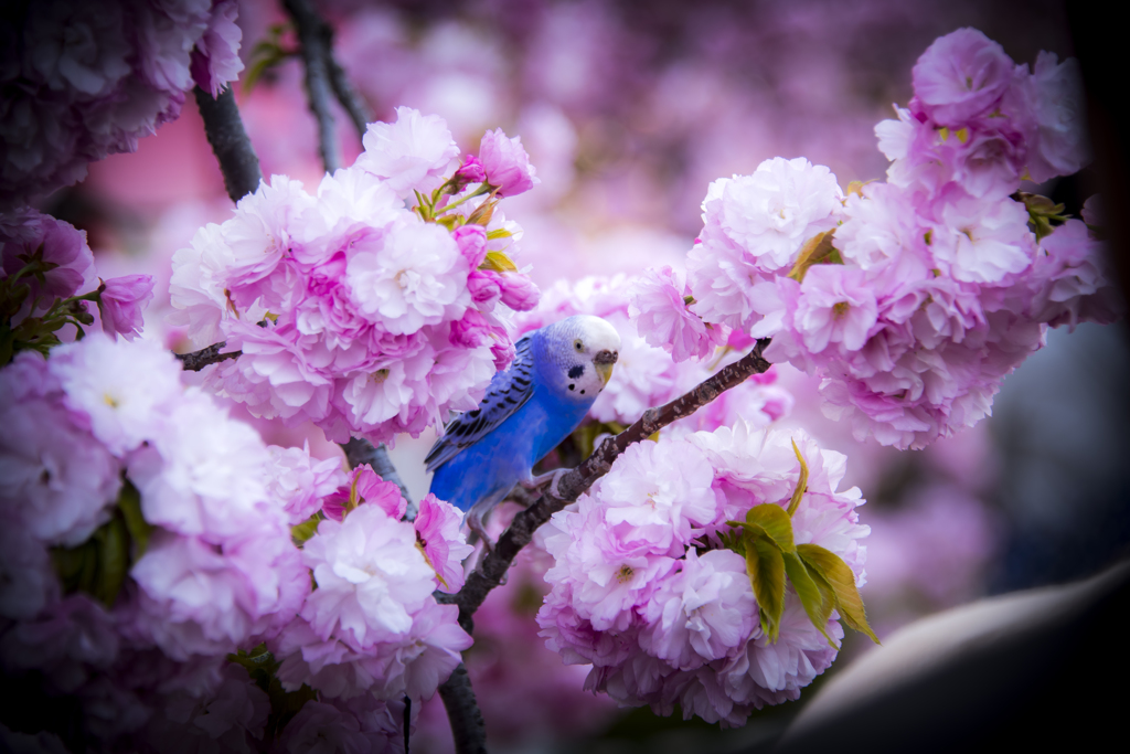 _DSC0053