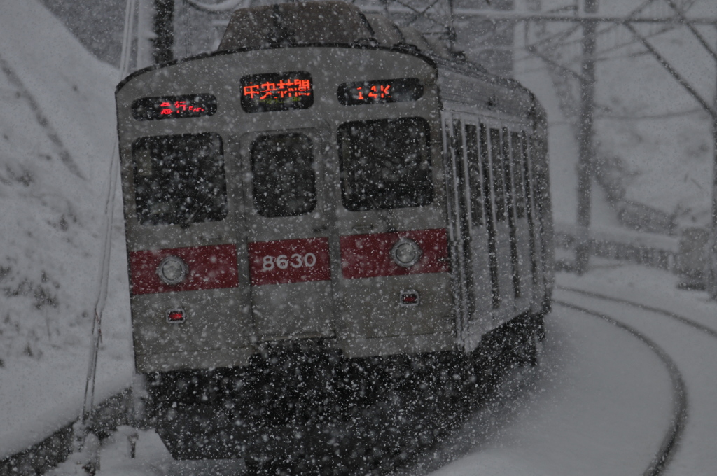 雪の中の後ろ姿