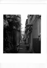 裏路地1