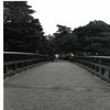 橋