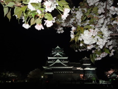 夜桜熊本城