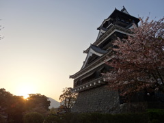 夕焼けの熊本城...桜とともに...