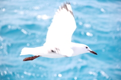 気持ち良さそ～