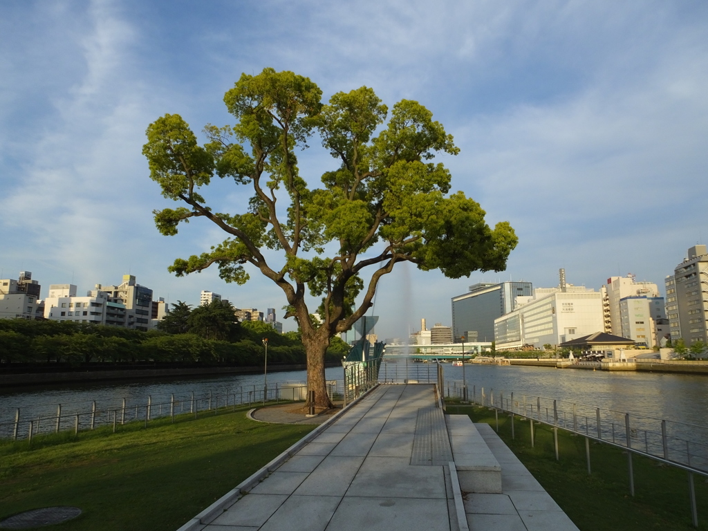 中之島公園の先っちょ