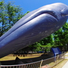 上野のクジラ