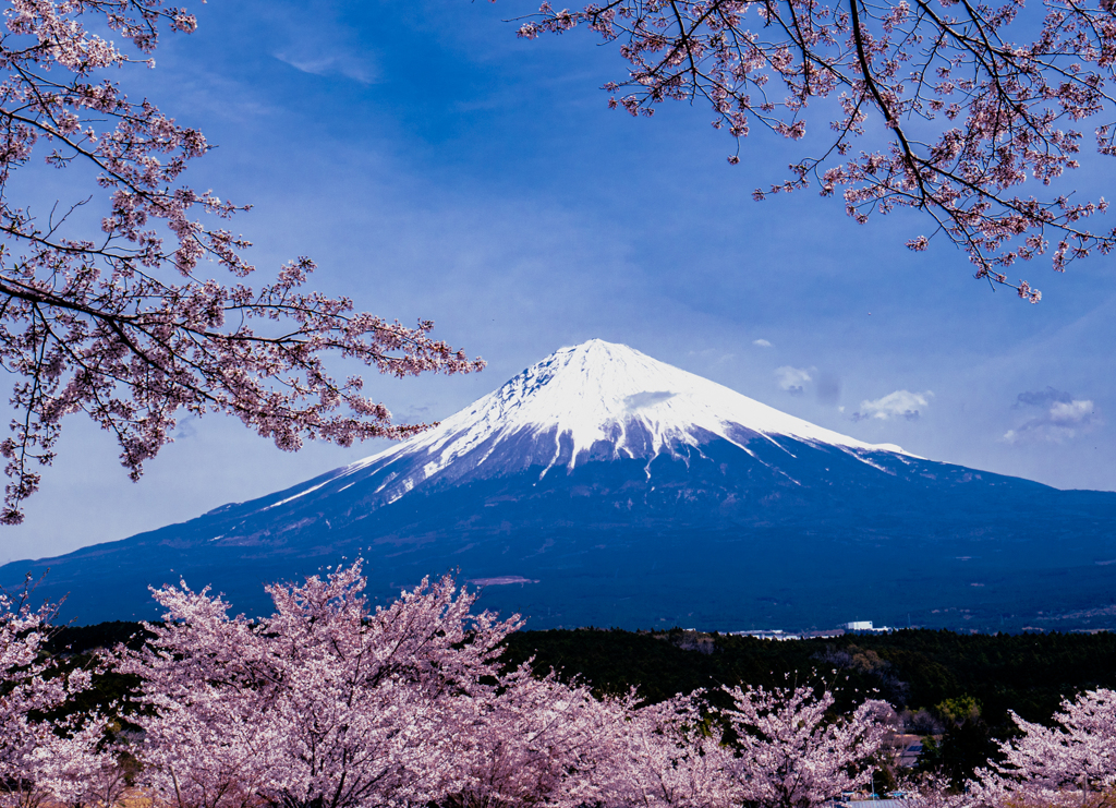 富士山4