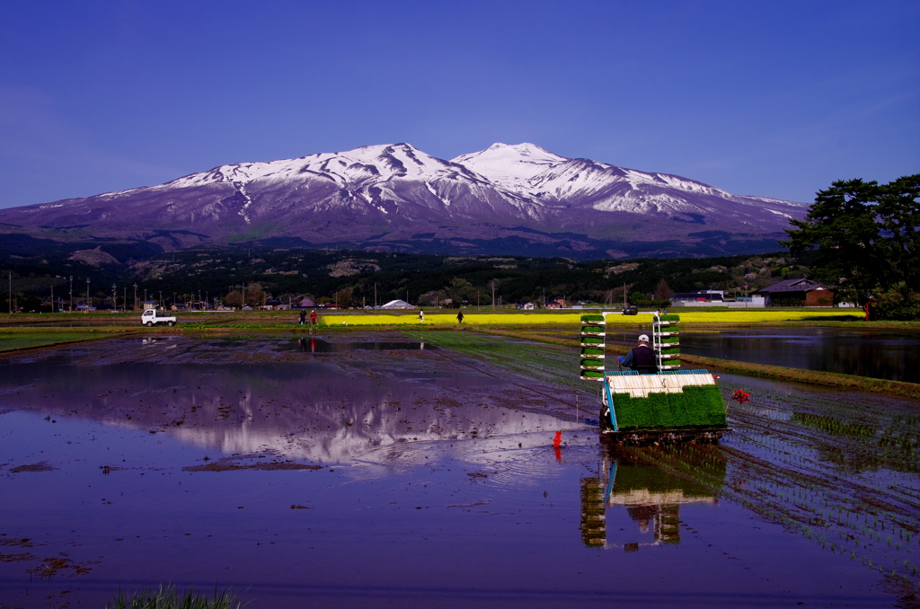 鳥海山7