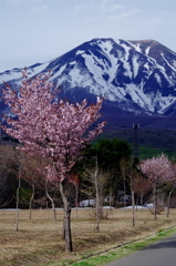 岩木山1