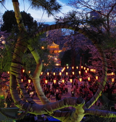 花の宴