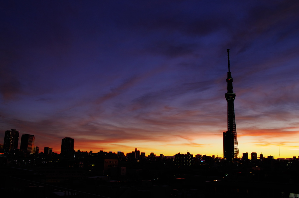 スカイツリー夕景