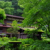 雨上がりの湯宿