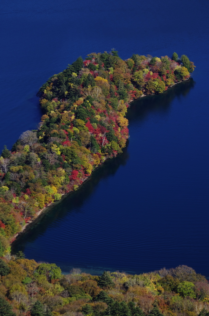 八丁出島の紅葉