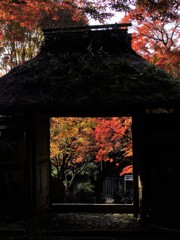 住蓮山安楽寺