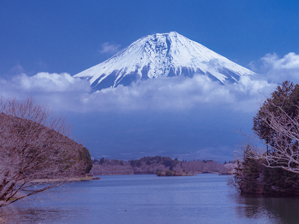 富士山3