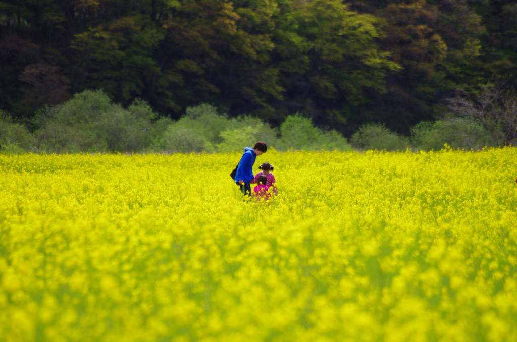 きれいだね